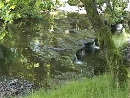 The River Dee on the boundary of Dentdale Youth Hostel